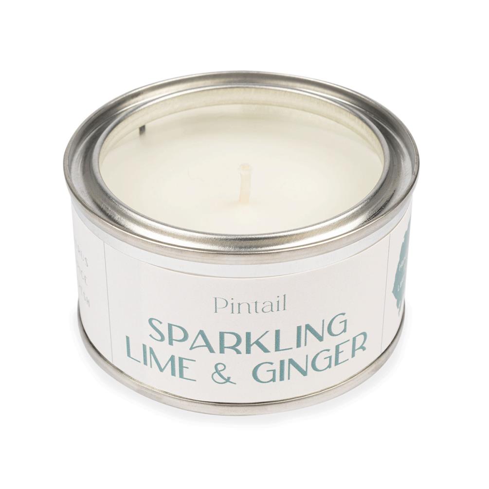 Pintail Candles Sparkling Lime & Ginger Paint Pot Candle Extra Image 2